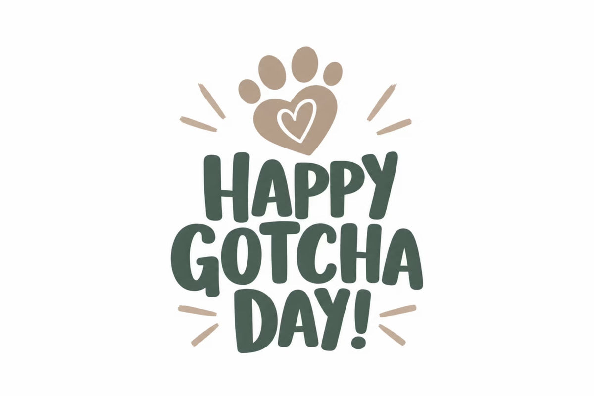 'Happy gotcha day' text on a white background
