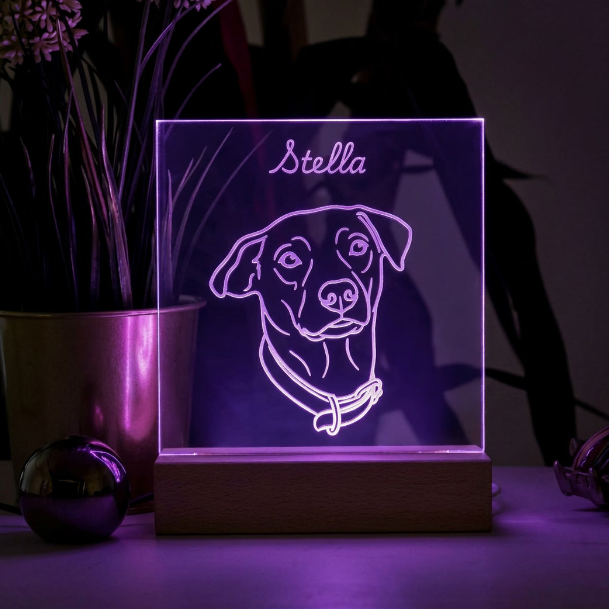 Custom Pet Night Light - Square Shaped