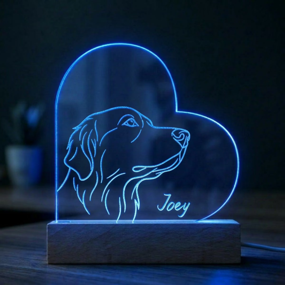 Custom Pet Night Light - Heart Shaped