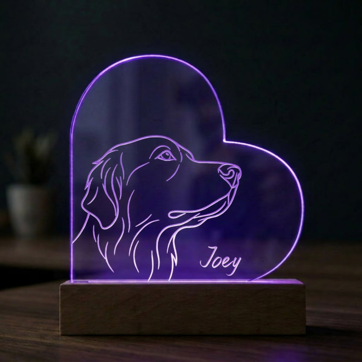 Custom Pet Night Light - Heart Shaped