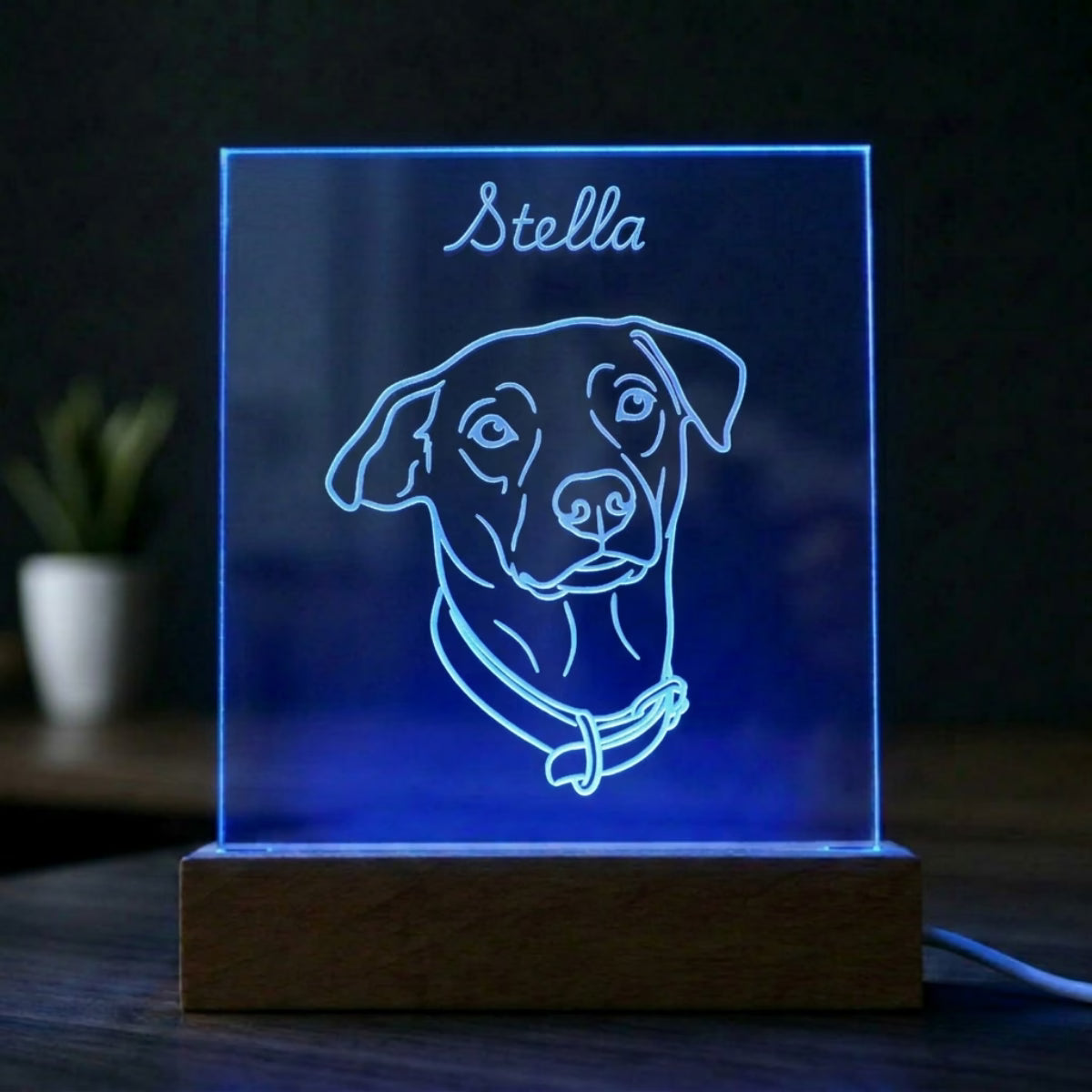 Custom Pet Night Light - Square Shaped