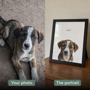 A split comparison showing a real puppy lying on dirt on the left labeled 'Your photo' and a framed pet portrait of the same puppy on a wooden table on the right labeled 'The portrait'. The framed print has a black frame, cream background, and the name 'JOEY' at the top.